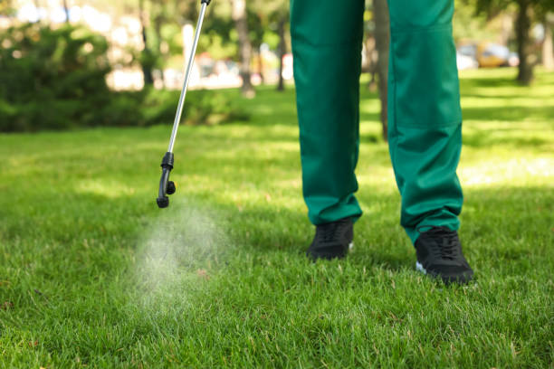 Best Local Pest Control Services  in Wayne Heights, PA