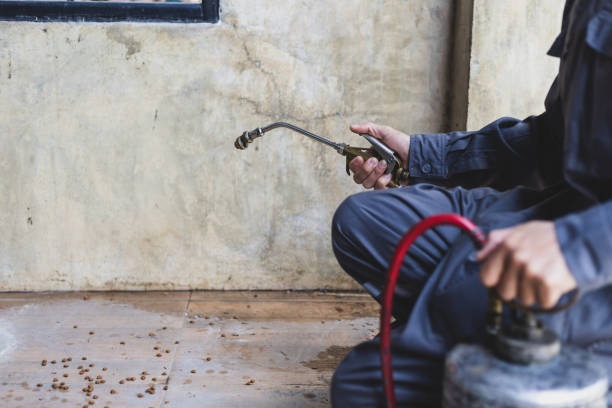 Best Best Pest Control Companies  in Wayne Heights, PA