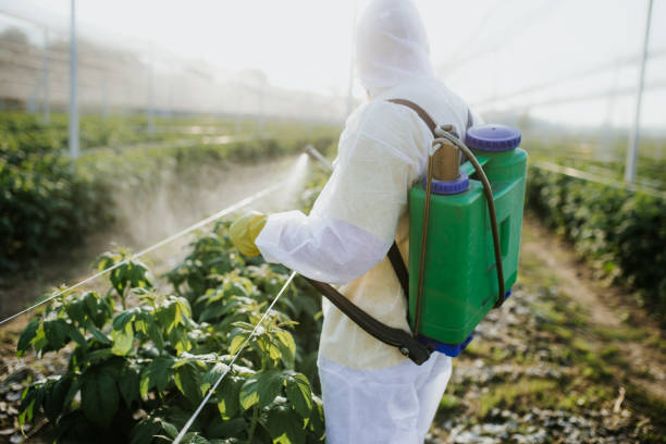 Wayne Heights, PA Pest Control Company